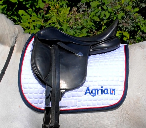 Sjabrak Dressur, Hvit eller Bl i gruppen Agria Shop / Agria Oslo Horse Show hos AgriaShop (2269r)