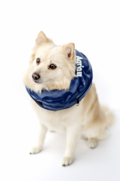 Oppblsbar krage til hund i gruppen Agria Shop / Hund hos AgriaShop (AGR2134r)