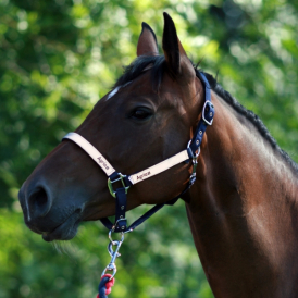 Grime - Marine refleks