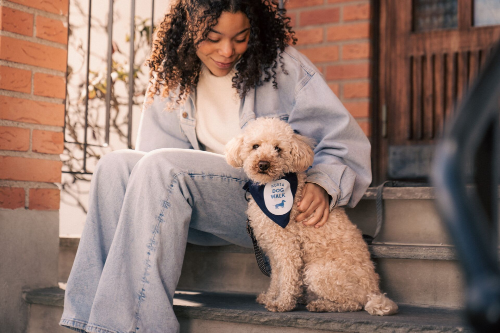 Hundeskjerf Hundepromenaden